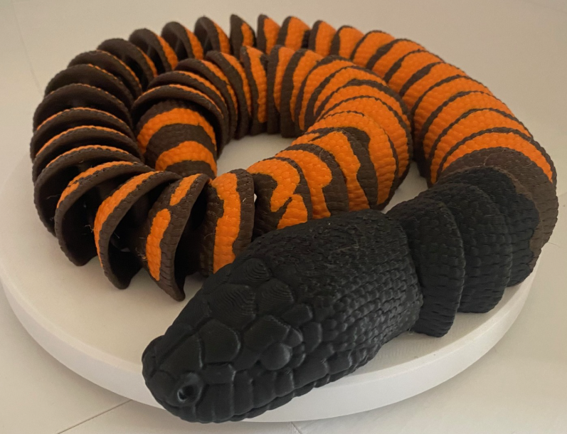 Black Headed Python Snake