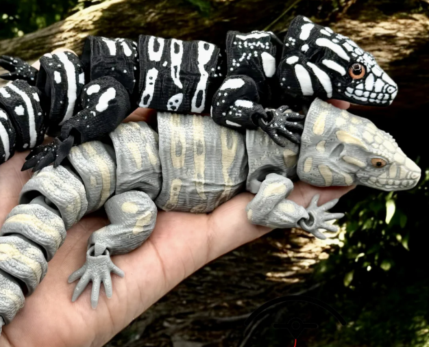 Glass Eyed Argentine Tegu Lizard