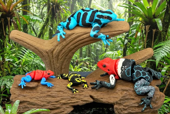 Poison Dart Frog