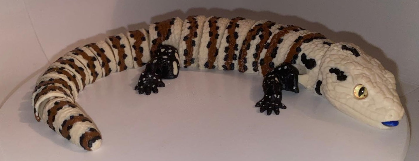 Glass Eyed Blue Tongued Skink