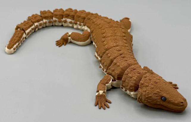 Glass Eyed Earless Monitor Lizard