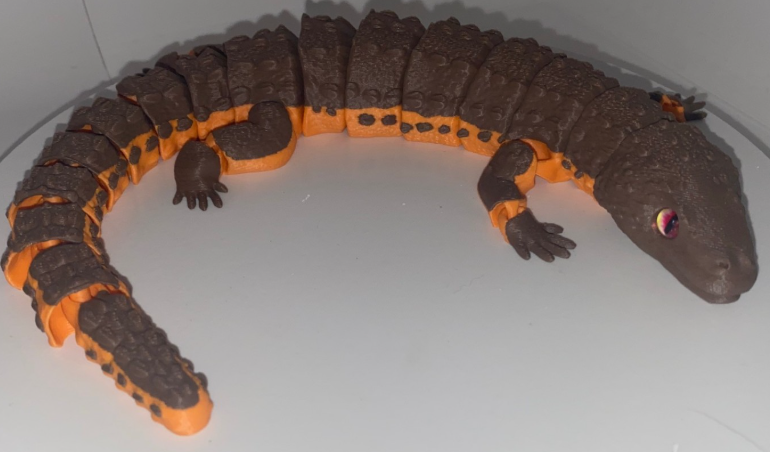 Glass Eyed Earless Monitor Lizard