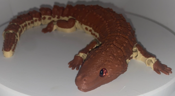 Glass Eyed Earless Monitor Lizard