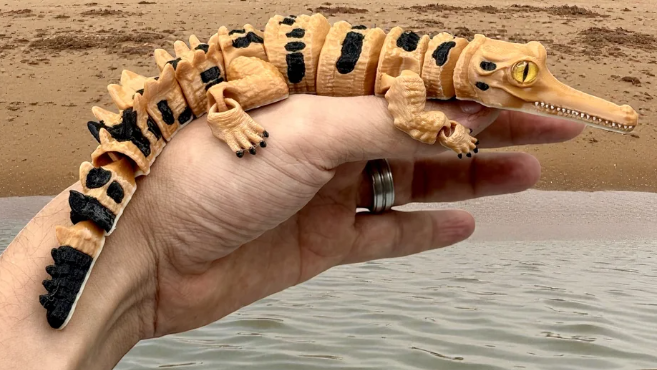 Glass Eyed Gharial Croc