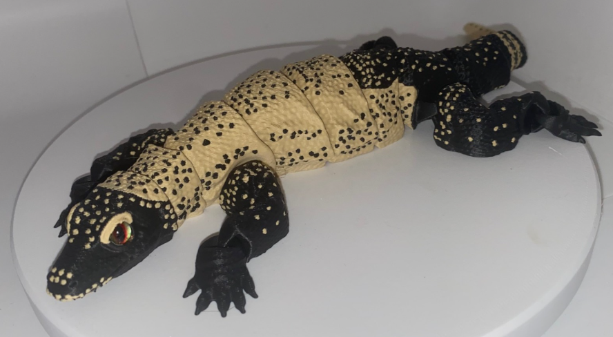 Glass Eyed Komodo Dragon