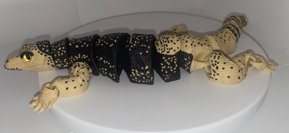 Glass Eyed Komodo Dragon