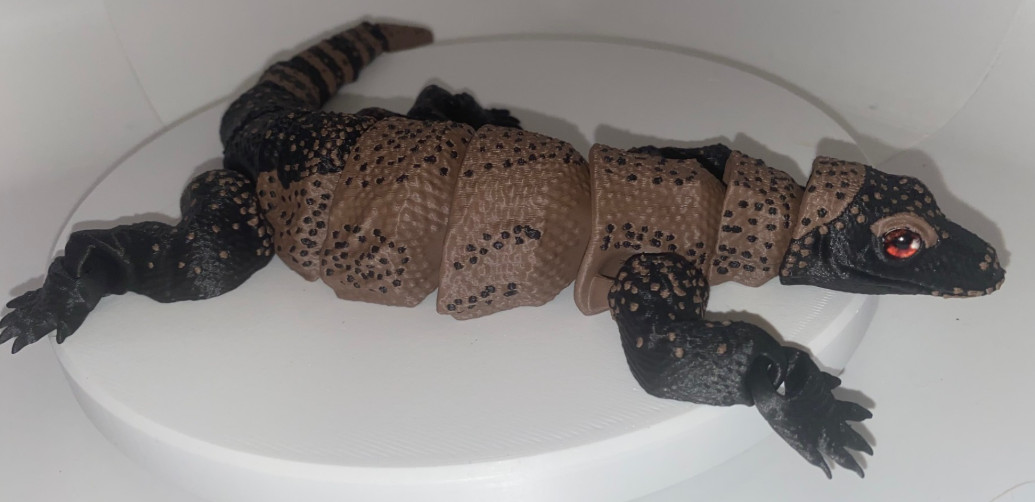 Glass Eyed Komodo Dragon