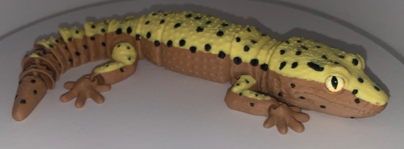 Glass Eyed Leopard Gecko