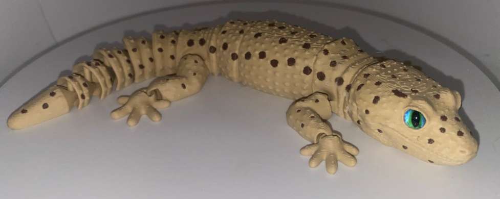 Glass Eyed Leopard Gecko