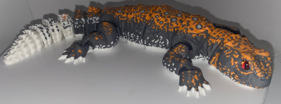 Glass Eyed Uromastyx Lizard