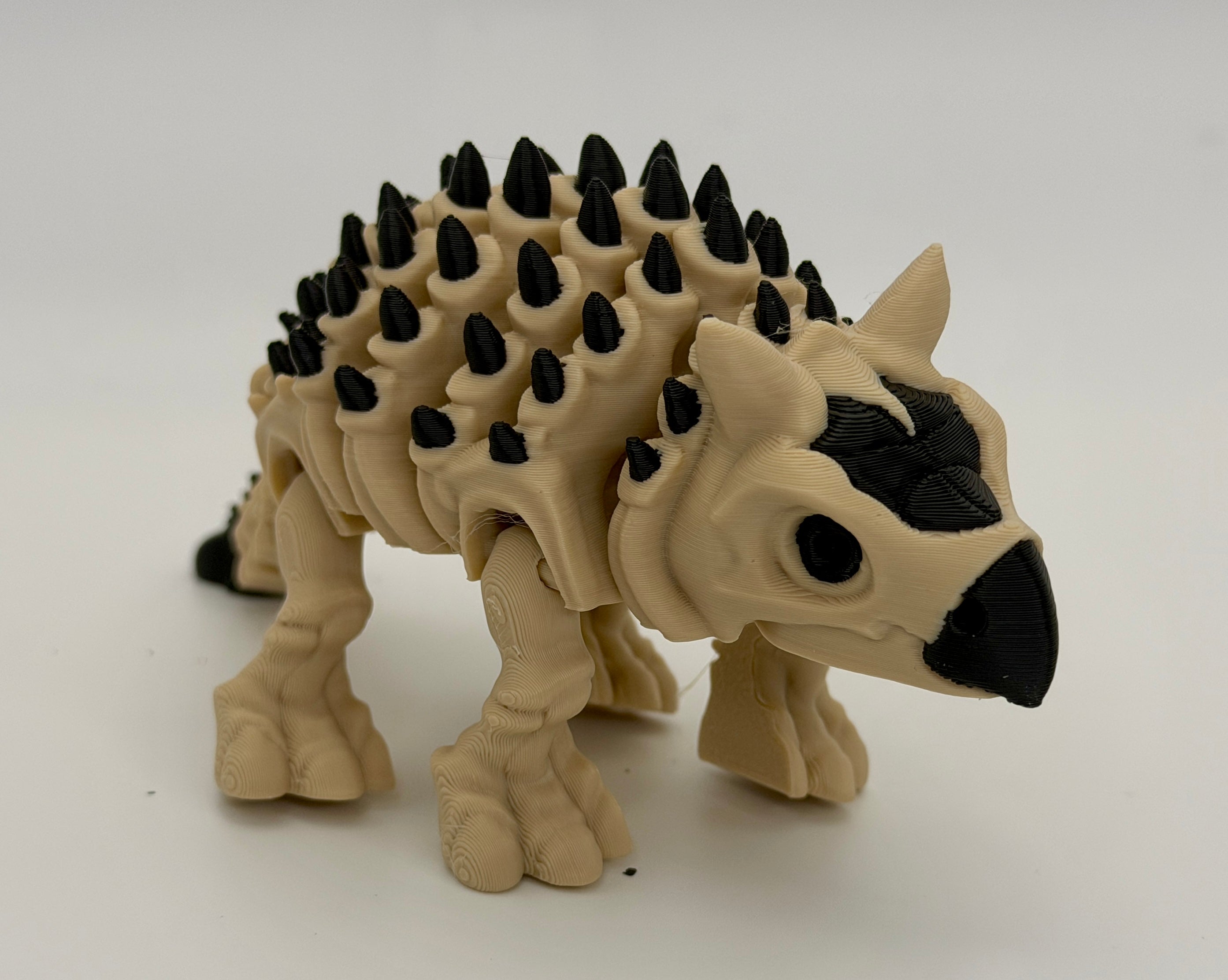 Articulated Skeletal Ankylosaurus