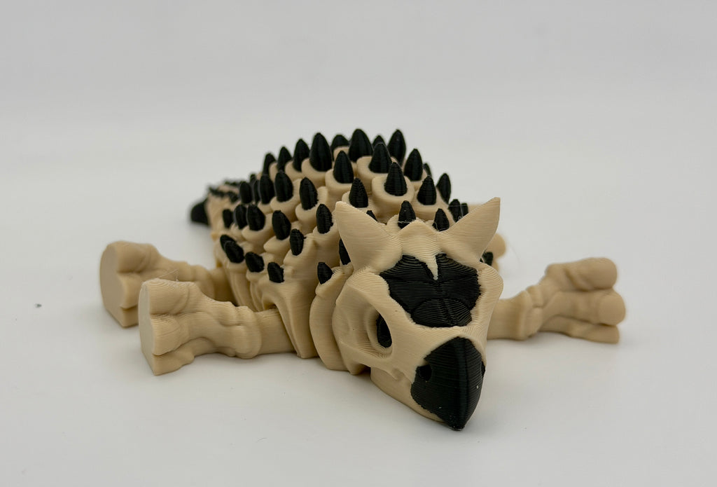 Articulated Skeletal Ankylosaurus