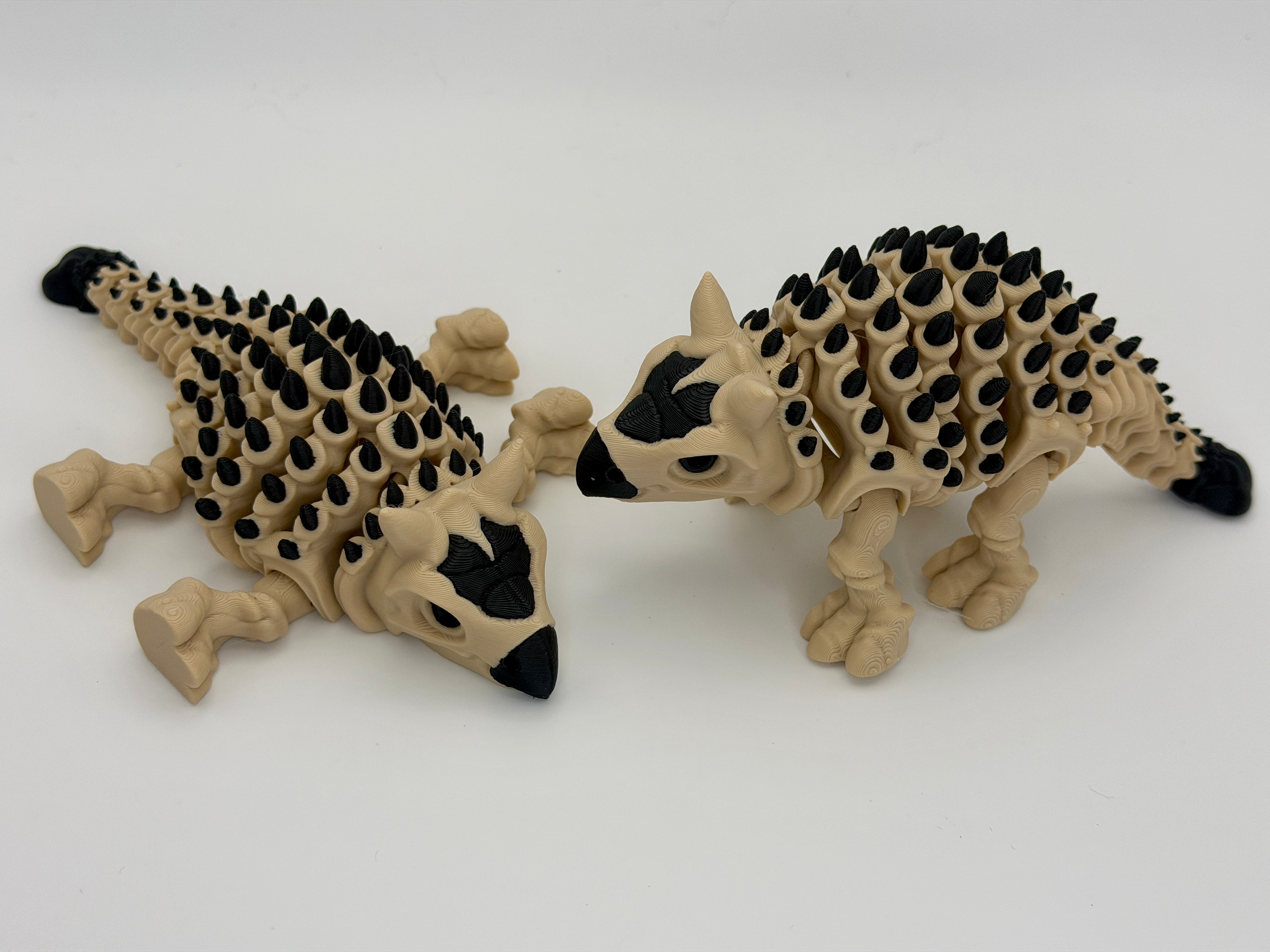 Articulated Skeletal Ankylosaurus