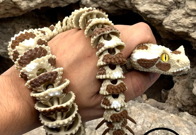 Glass Eyed Spider Tailed Horned Viper Snake