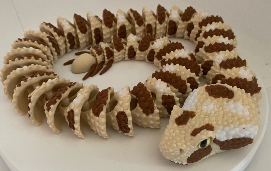 Glass Eyed Spider Tailed Horned Viper Snake