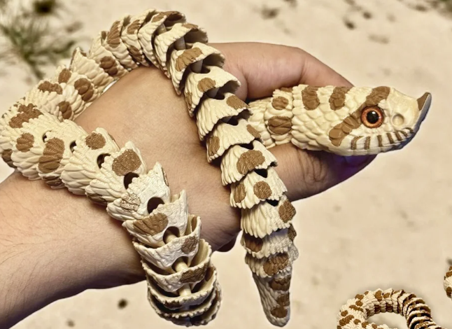 Hognose Snake