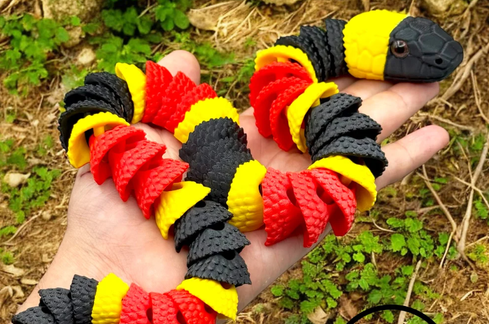 Coral Snake
