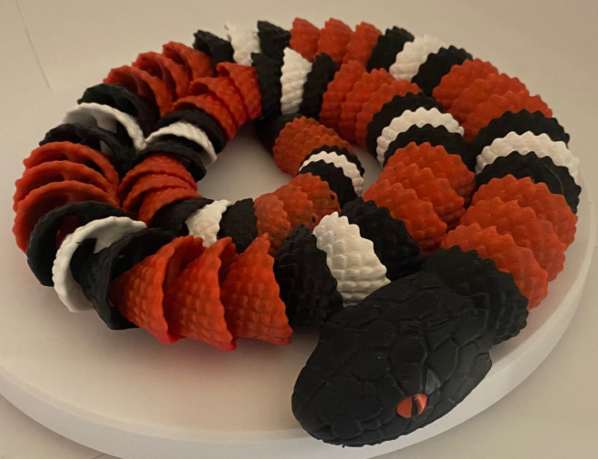 Coral Snake