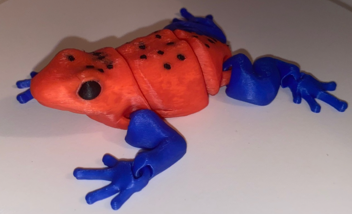 Poison Dart Frog