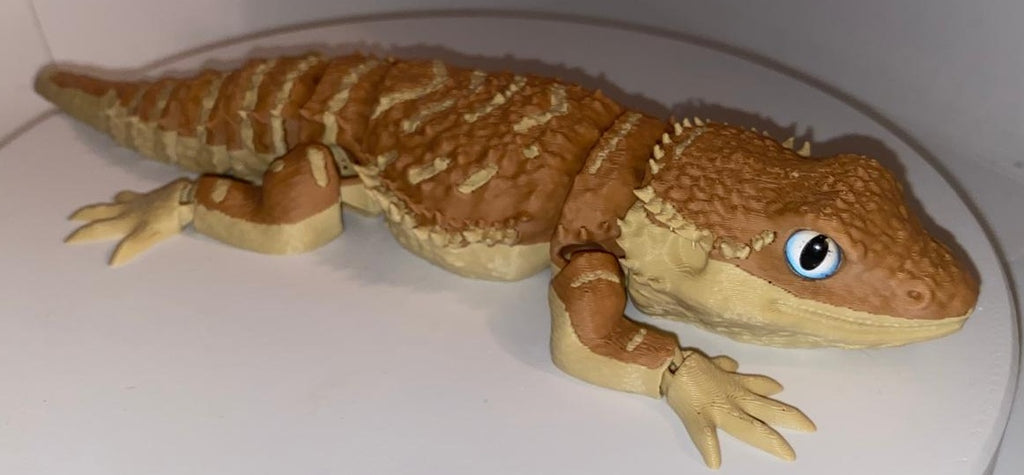 Glass Eyed Bearded Dragon