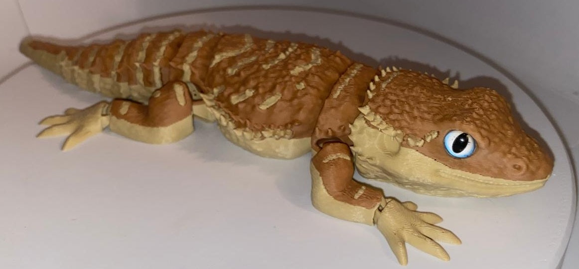 Glass Eyed Bearded Dragon